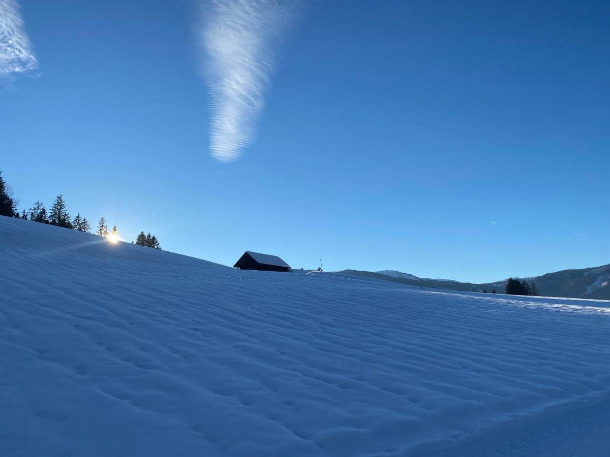 Pensjonat Obersdorfer Hof Bad Mitterndorf Zewnętrze zdjęcie