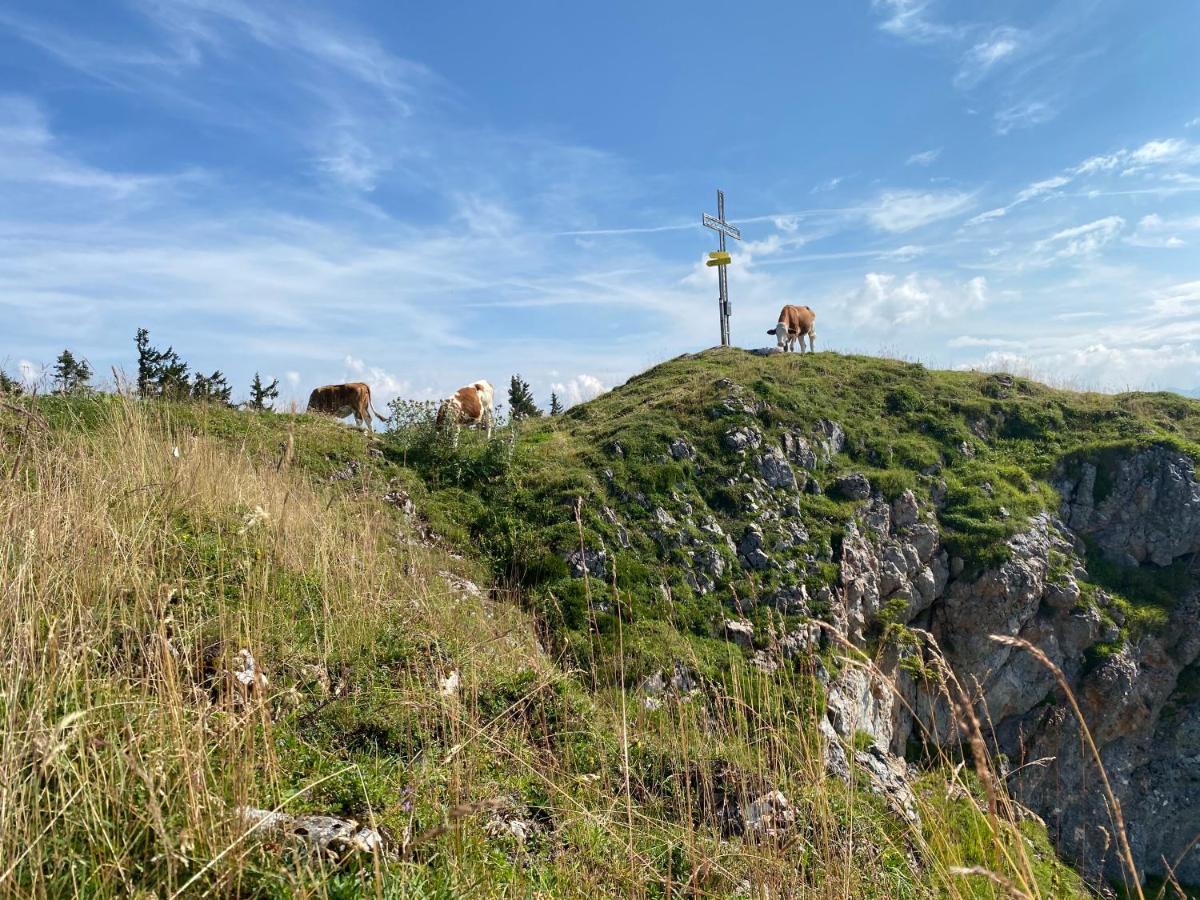 Pensjonat Obersdorfer Hof Bad Mitterndorf Zewnętrze zdjęcie
