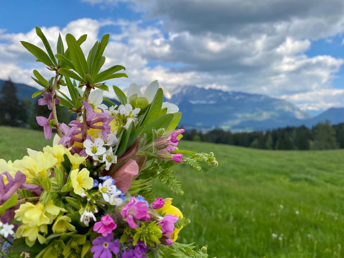 Pensjonat Obersdorfer Hof Bad Mitterndorf Zewnętrze zdjęcie
