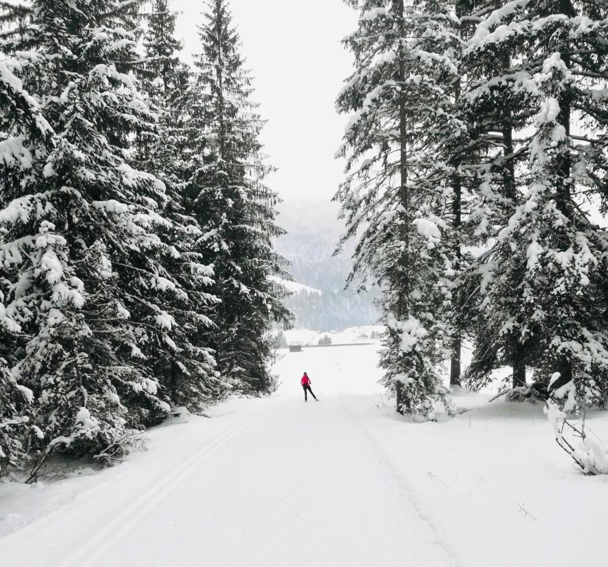 Pensjonat Obersdorfer Hof Bad Mitterndorf Zewnętrze zdjęcie