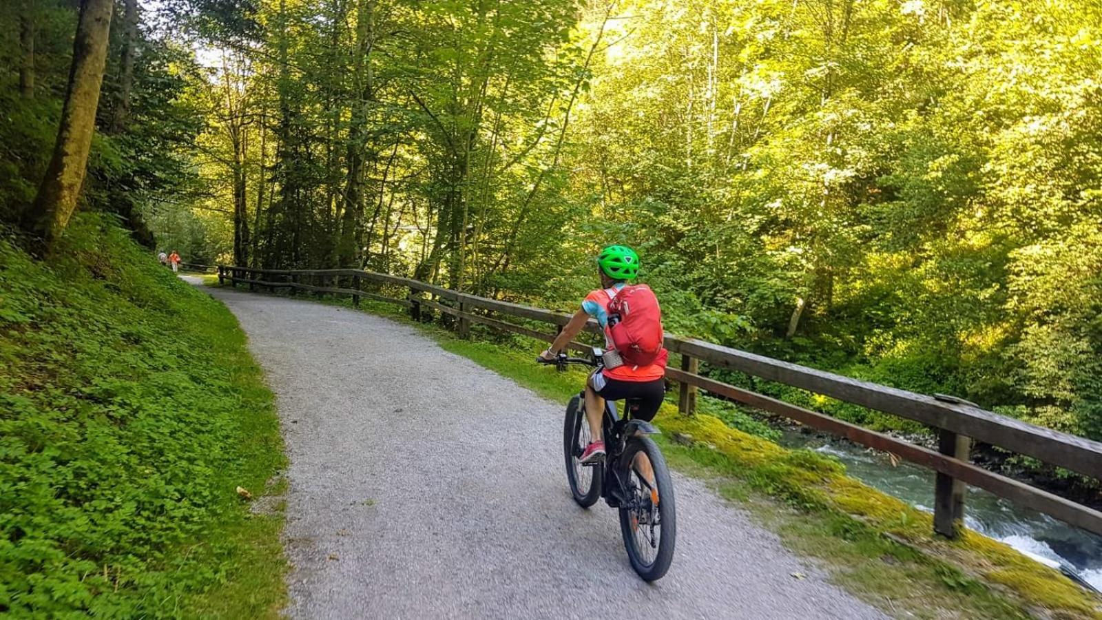 Pensjonat Obersdorfer Hof Bad Mitterndorf Zewnętrze zdjęcie